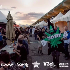 553d0f_4053cd0fe9274e669dc2e510cb43d451mv2-6755768